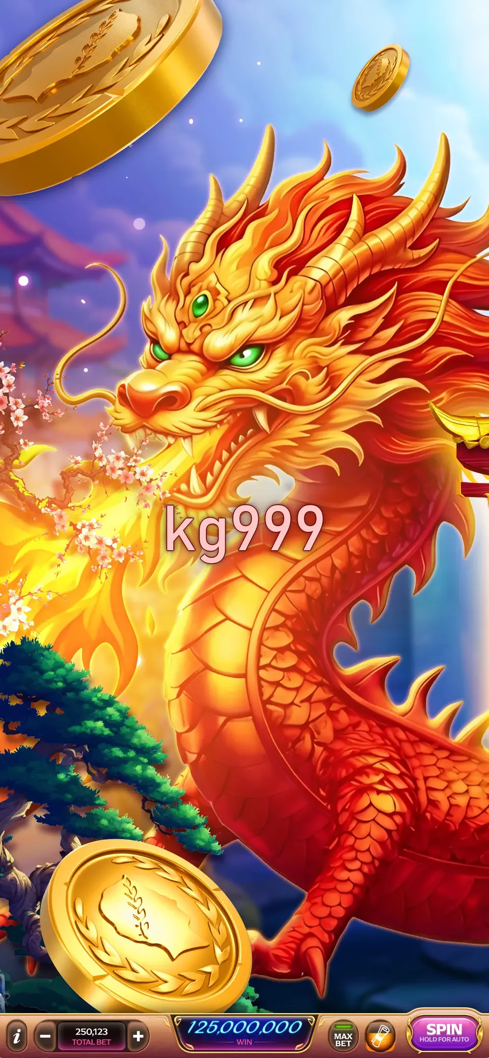 kg999 লগইন
